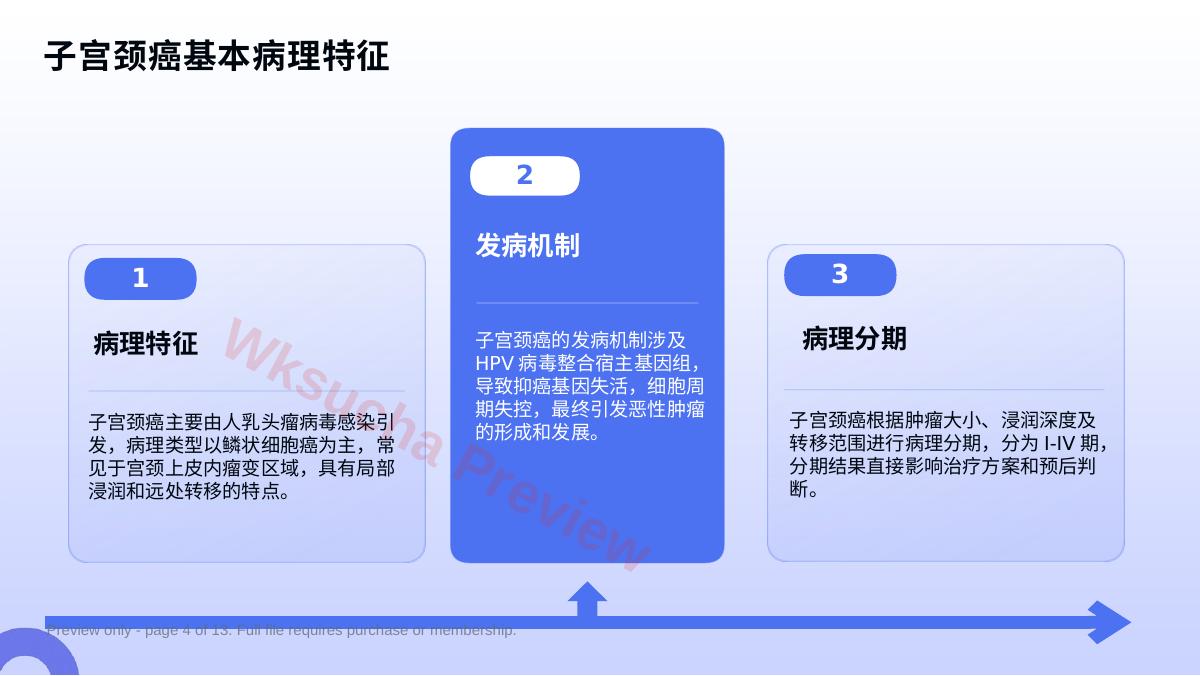 预览第 4 页