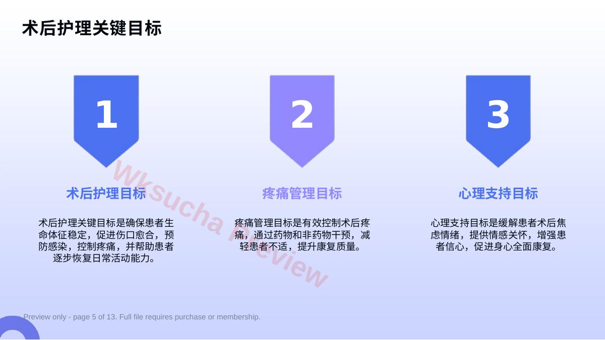 预览第 5 页