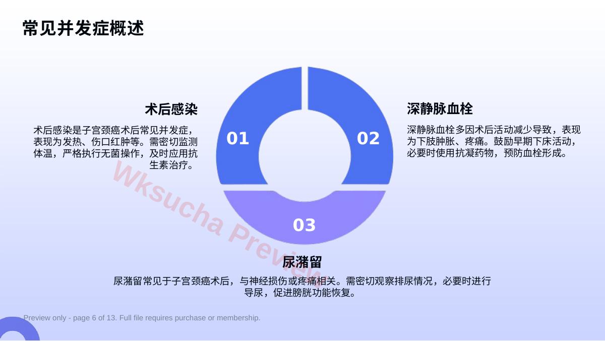 预览第 6 页