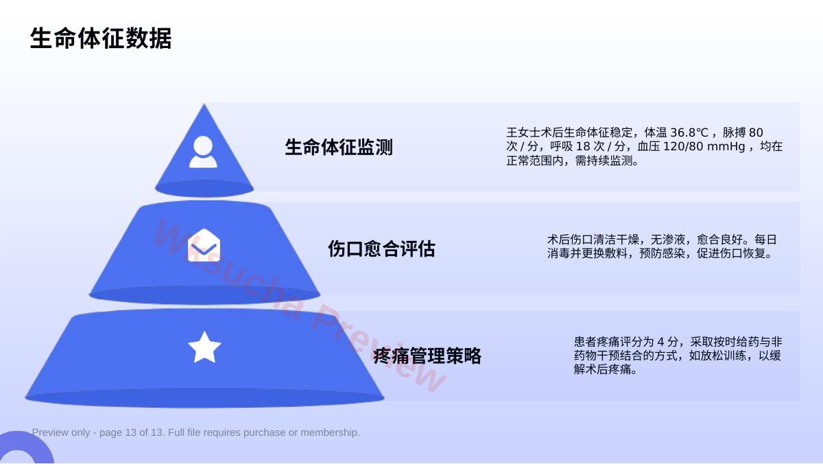 预览第 13 页
