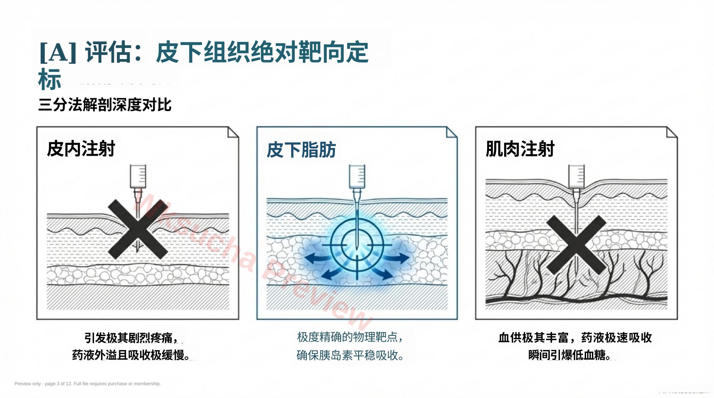 预览第 3 页
