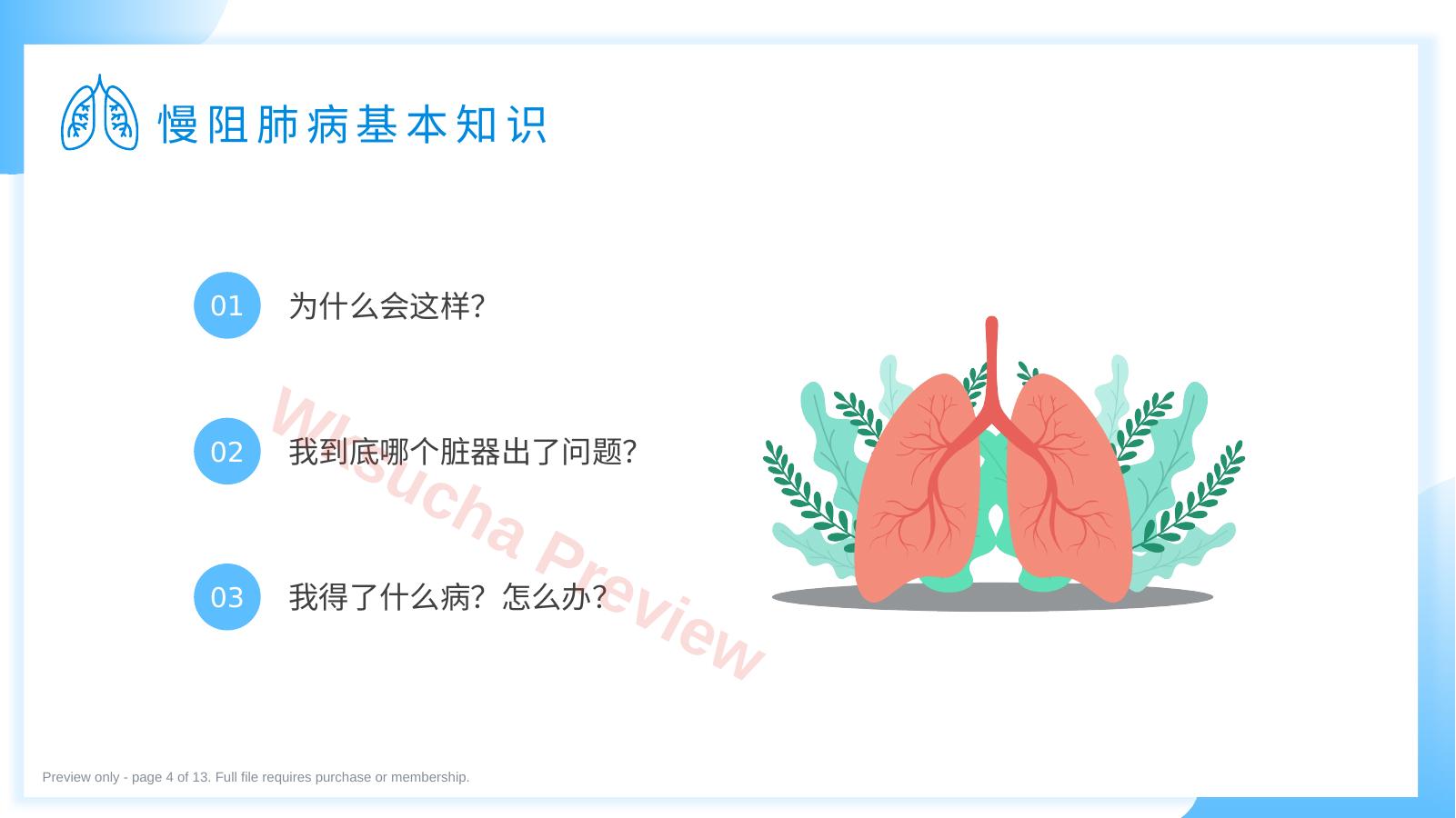 预览第 4 页