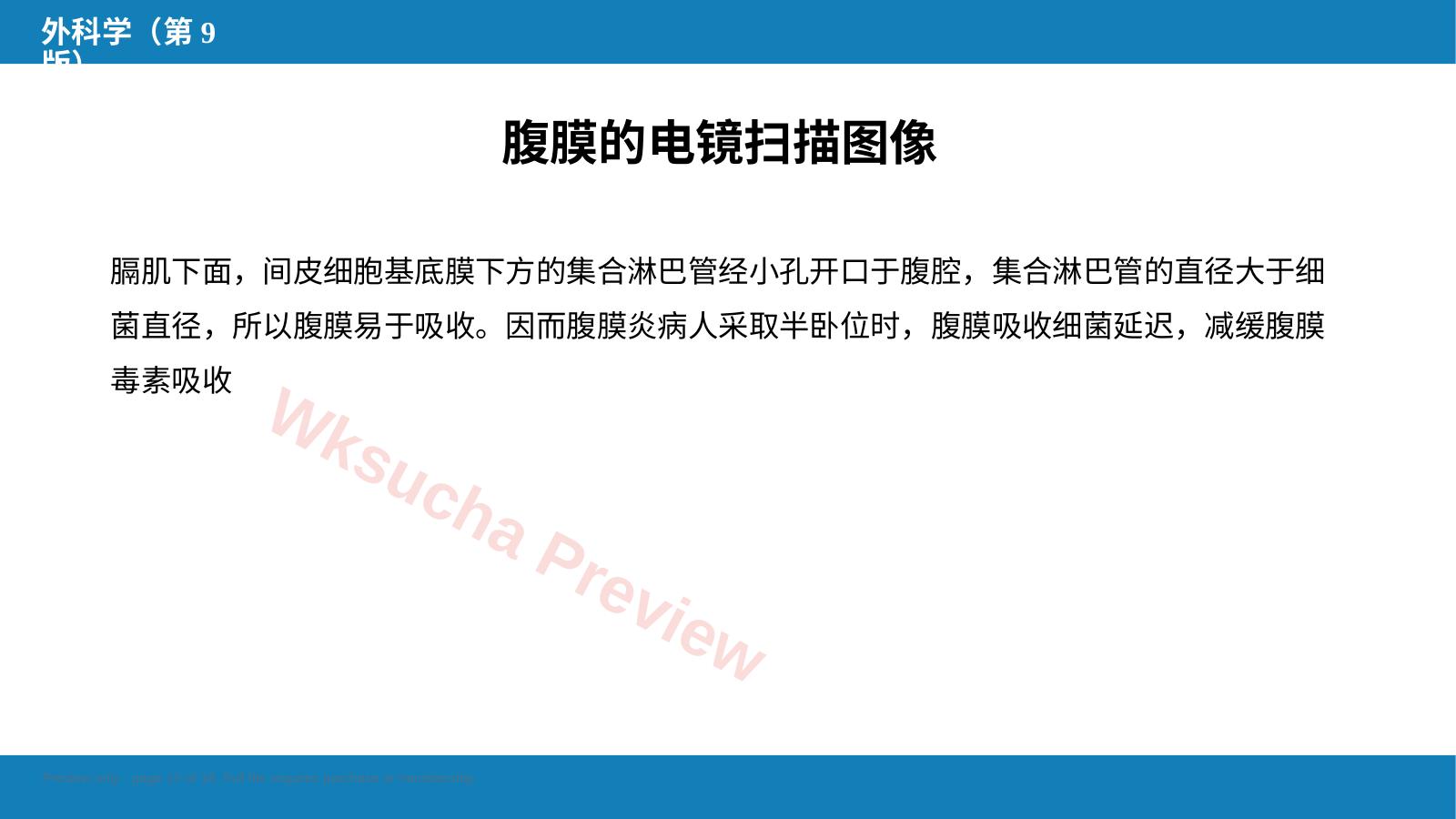 预览第 12 页