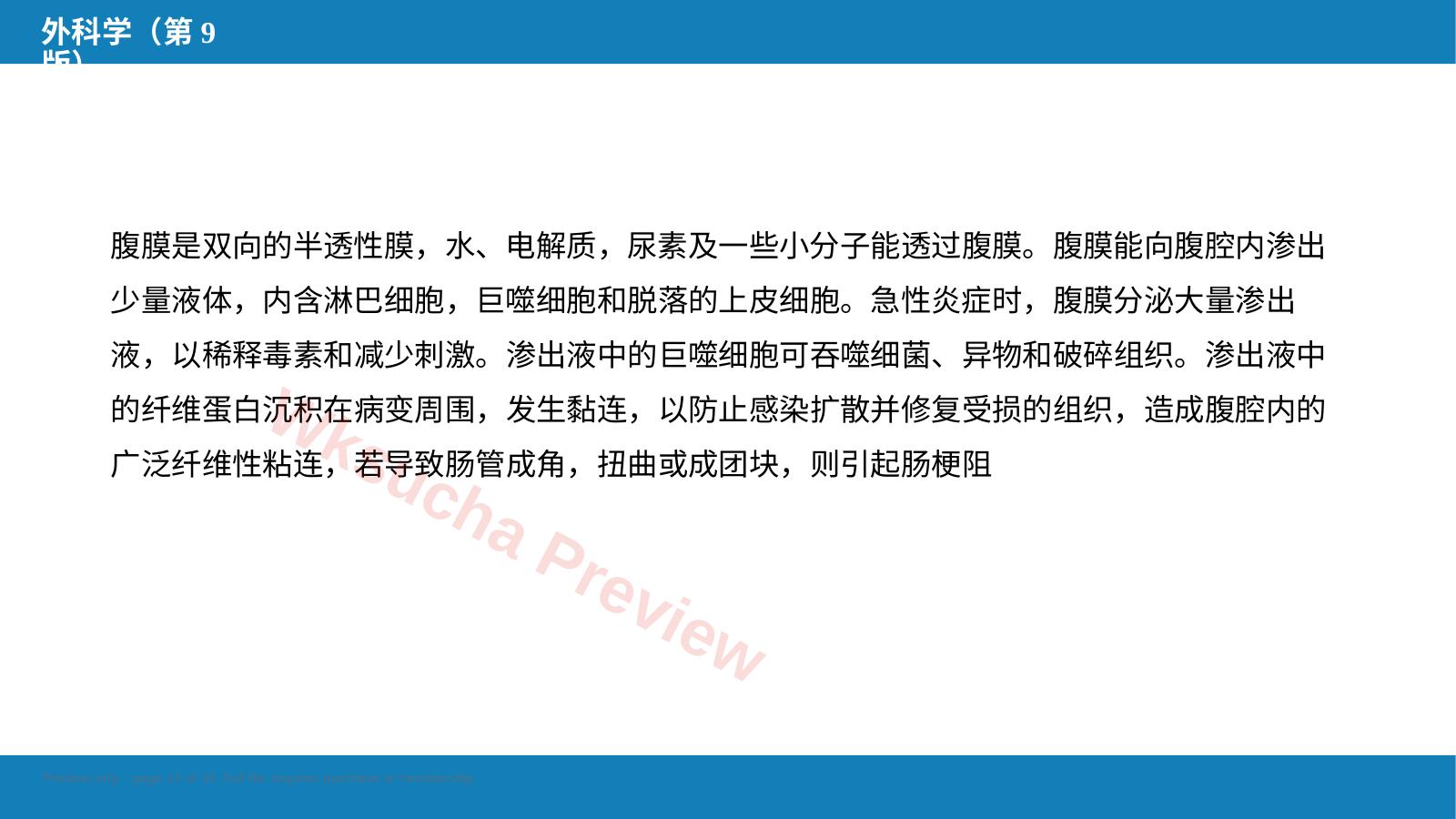 预览第 13 页