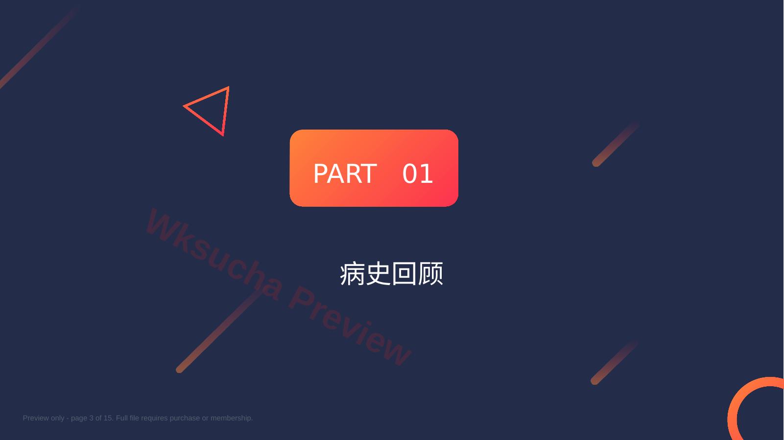 预览第 3 页