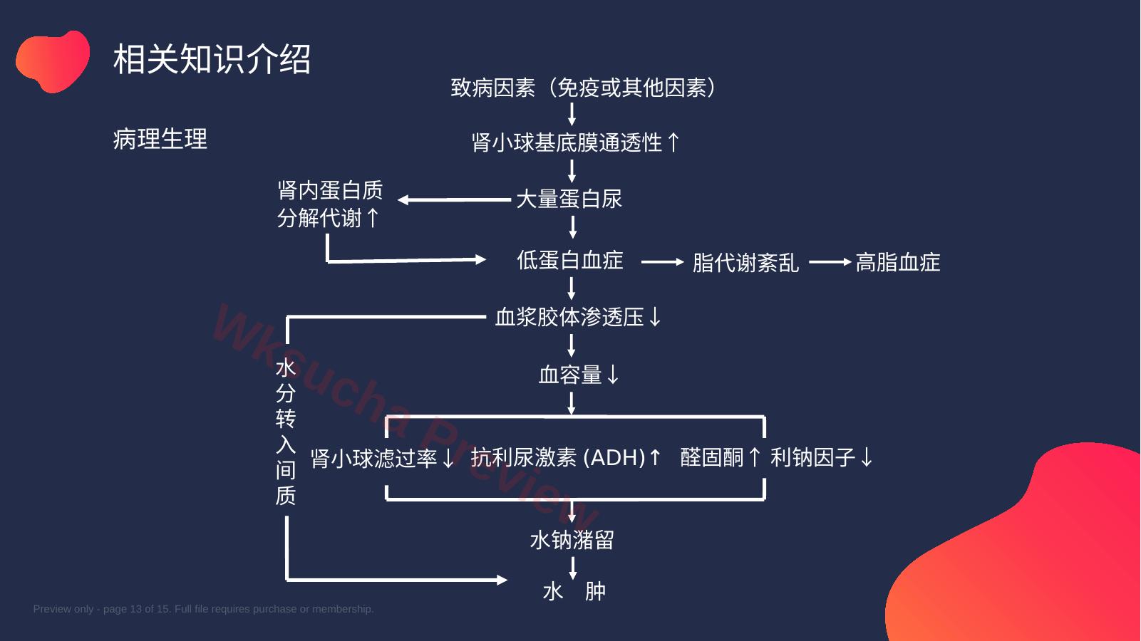 预览第 13 页