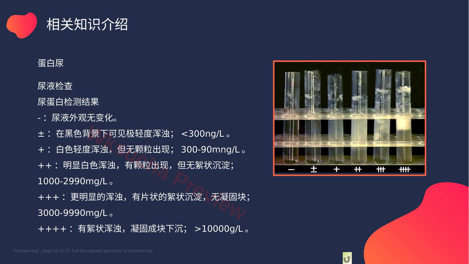 预览第 15 页