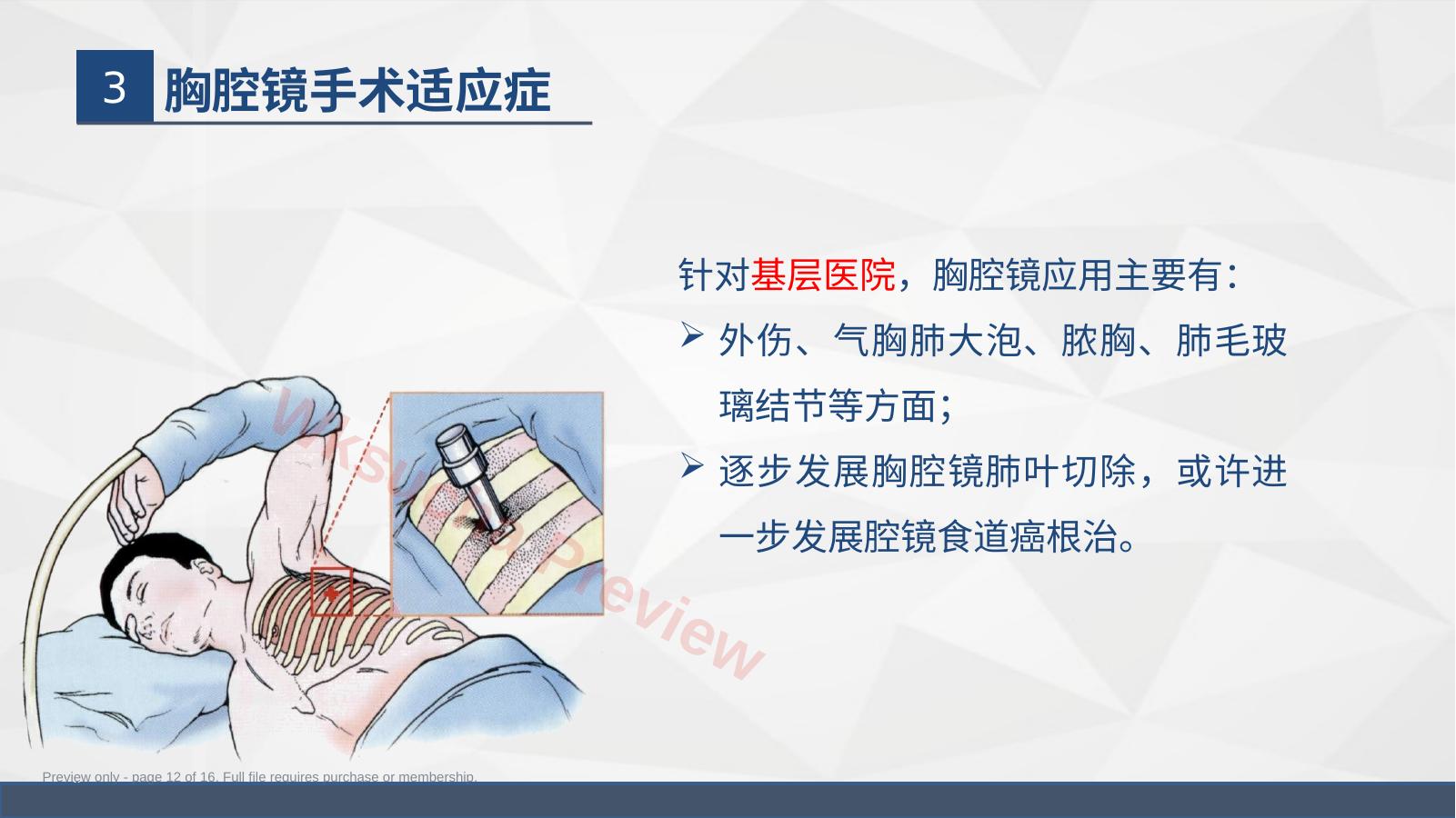 预览第 12 页