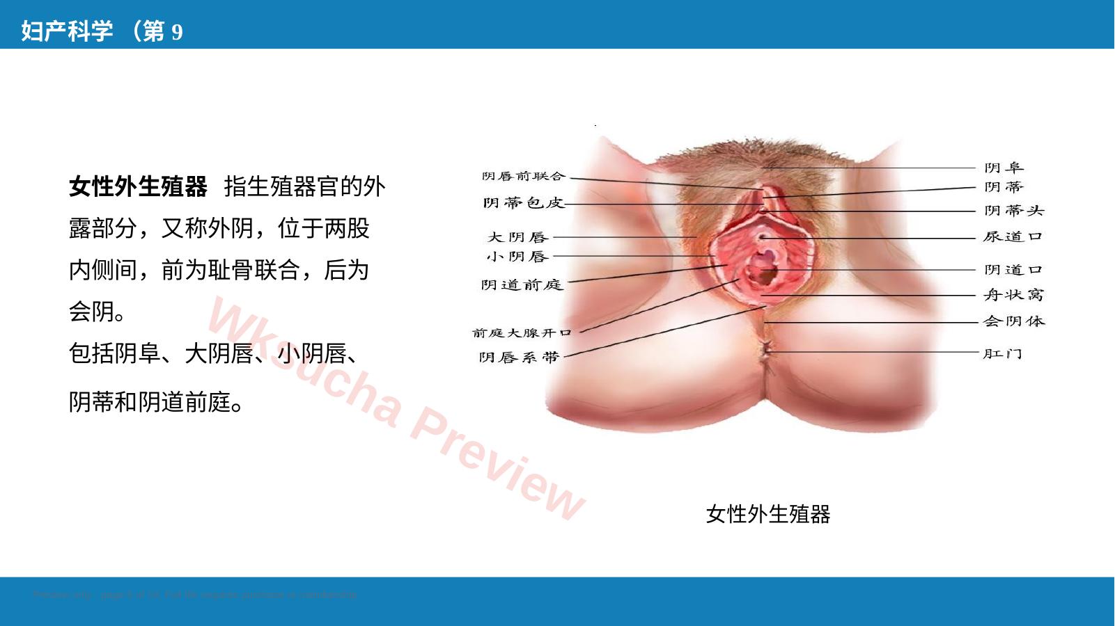 预览第 5 页
