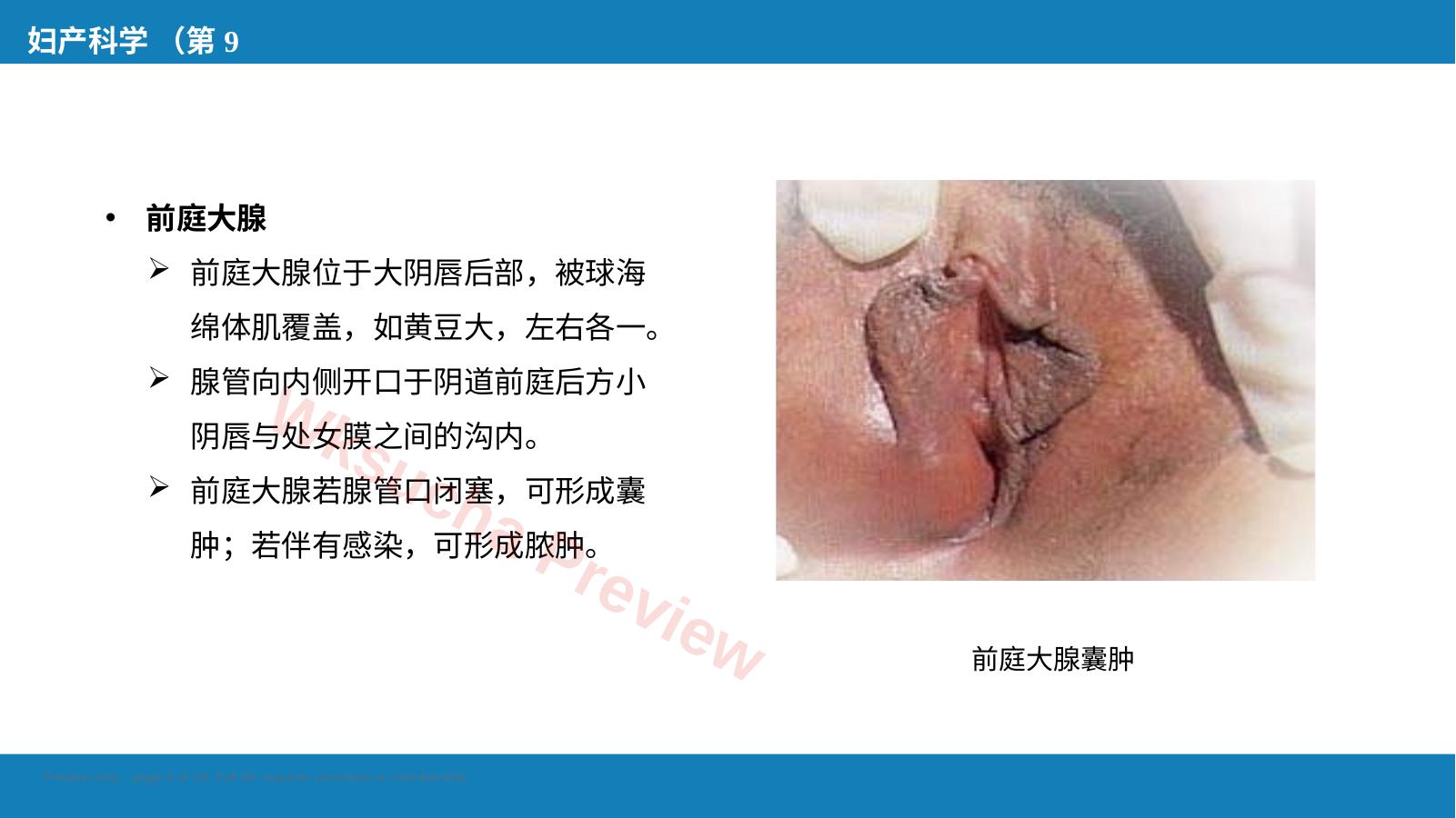 预览第 8 页