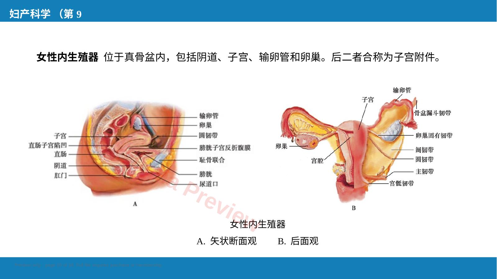 预览第 10 页