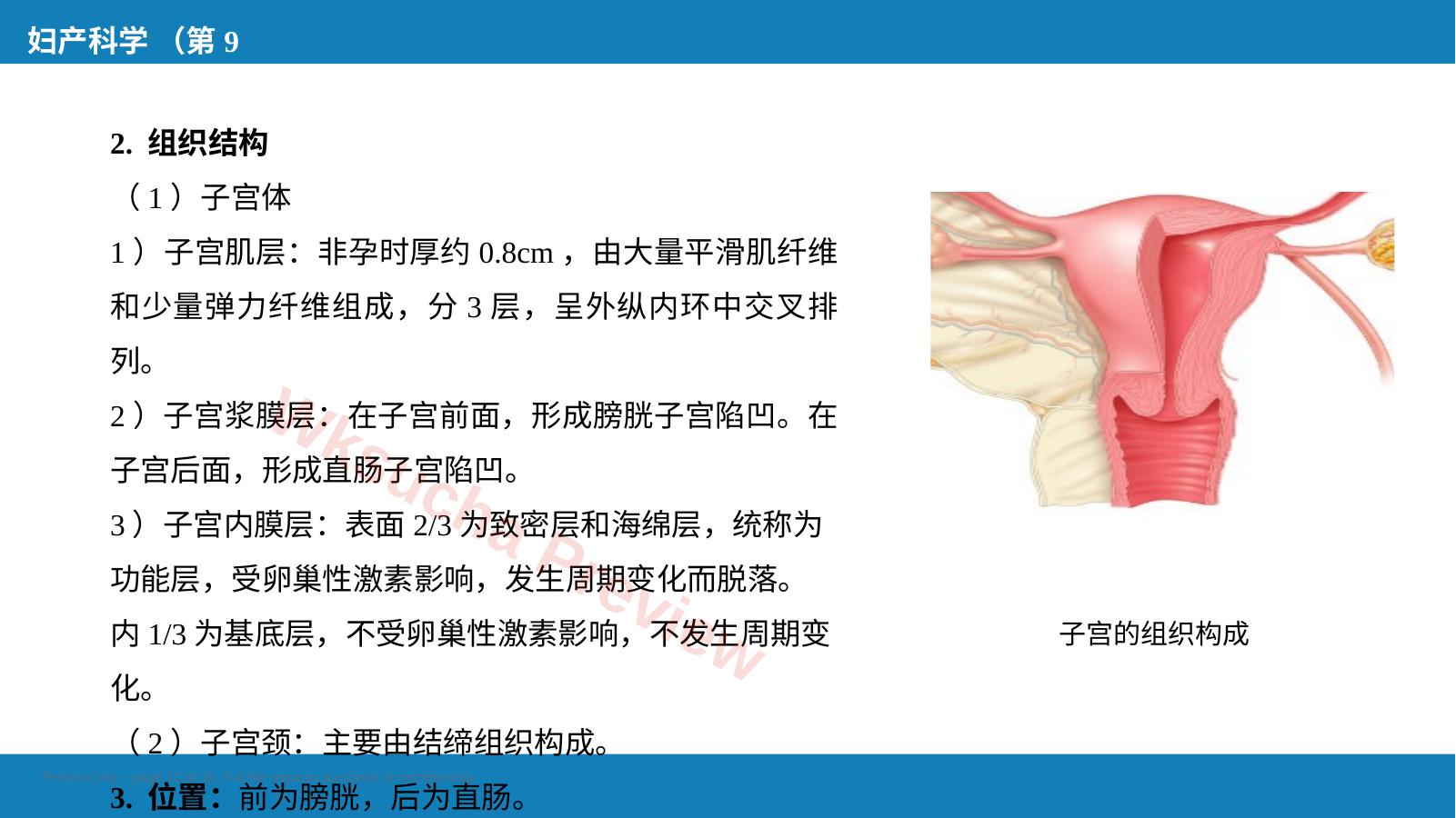 预览第 13 页