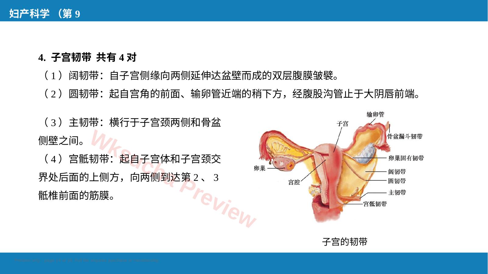 预览第 14 页