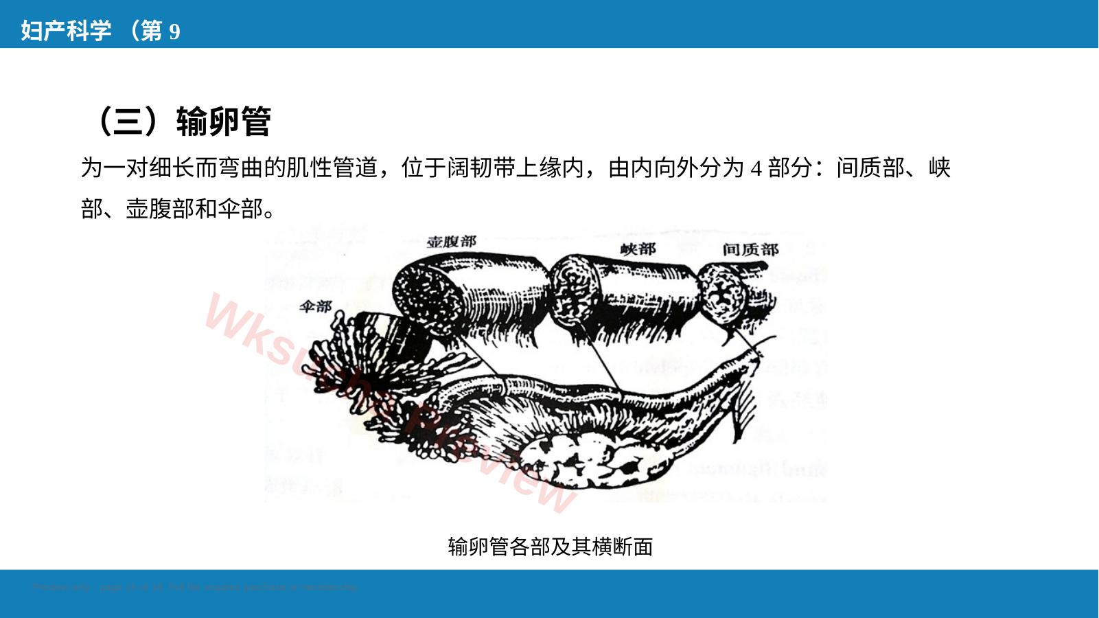 预览第 15 页