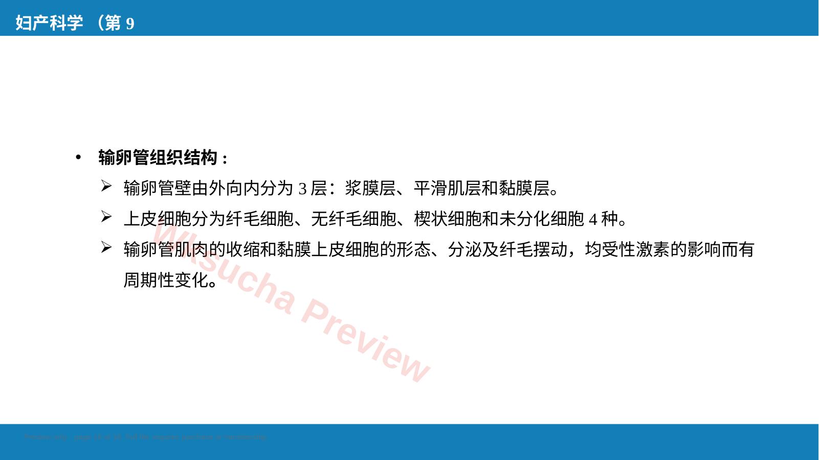预览第 16 页