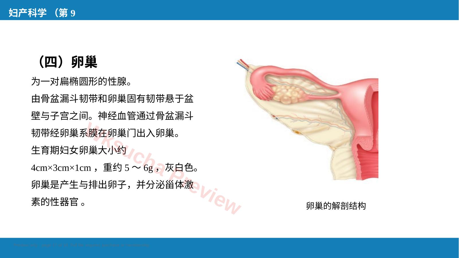 预览第 17 页