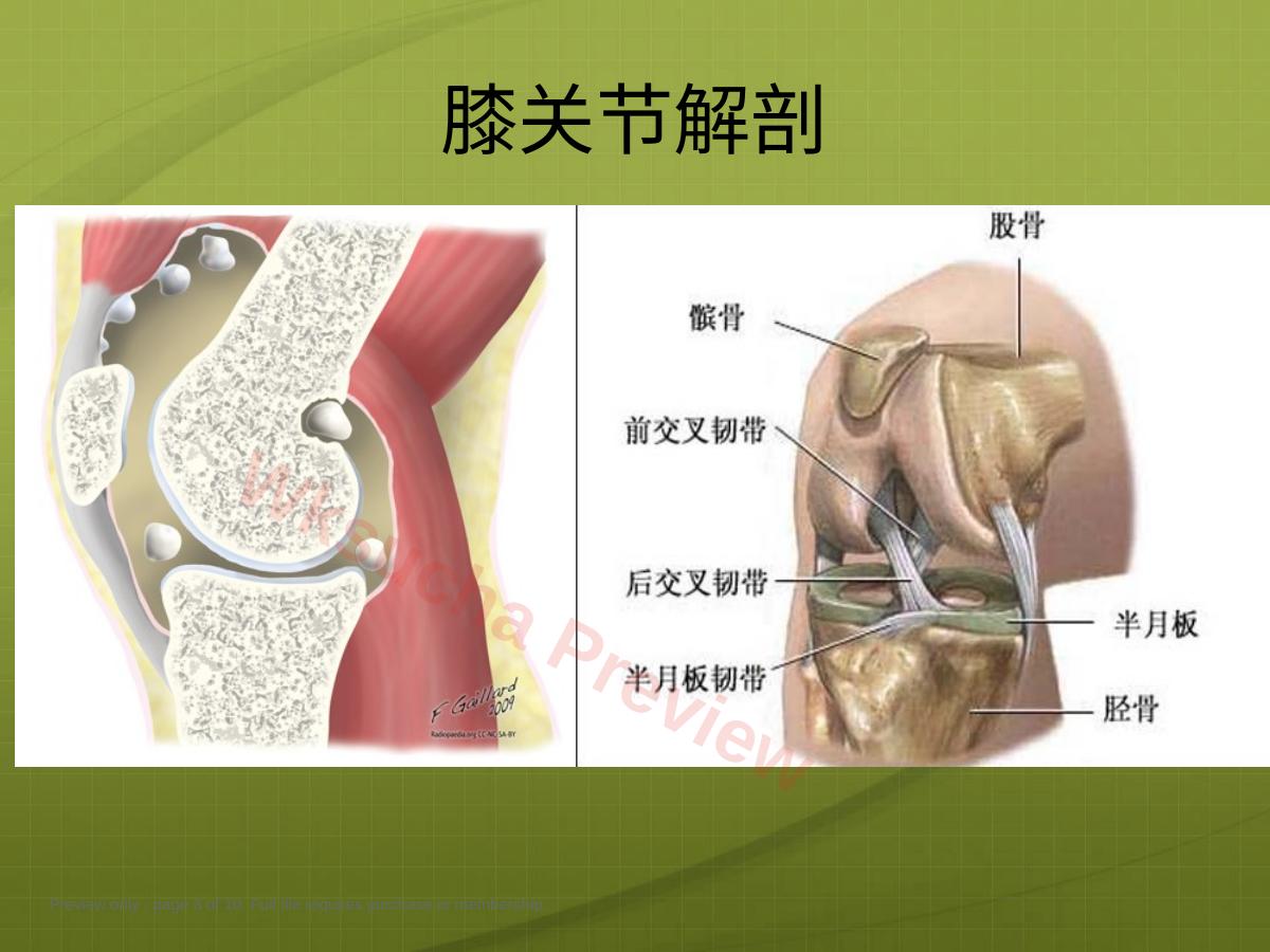 预览第 3 页