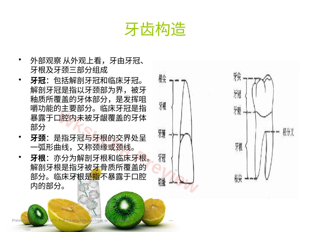 预览第 3 页