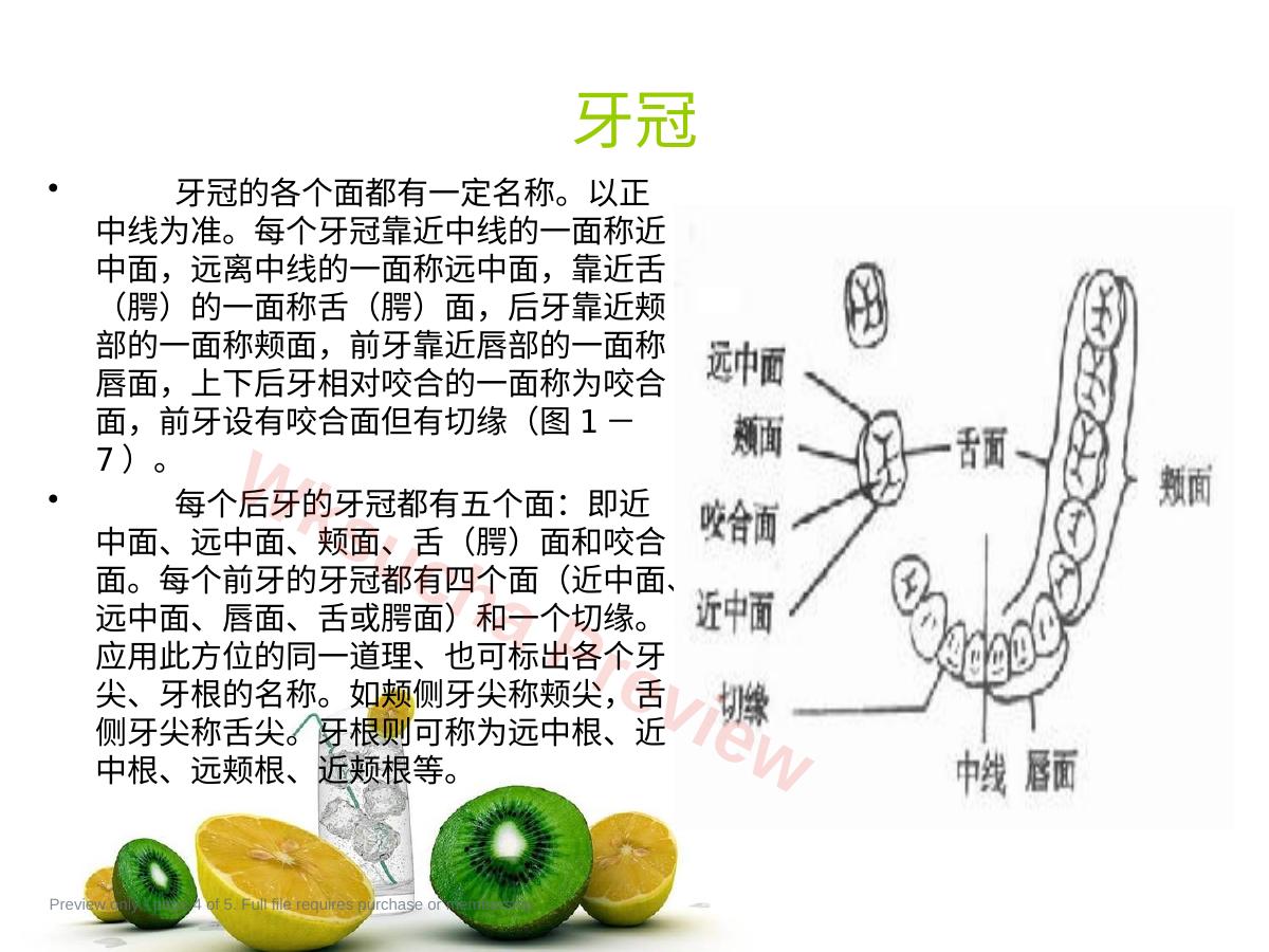 预览第 4 页