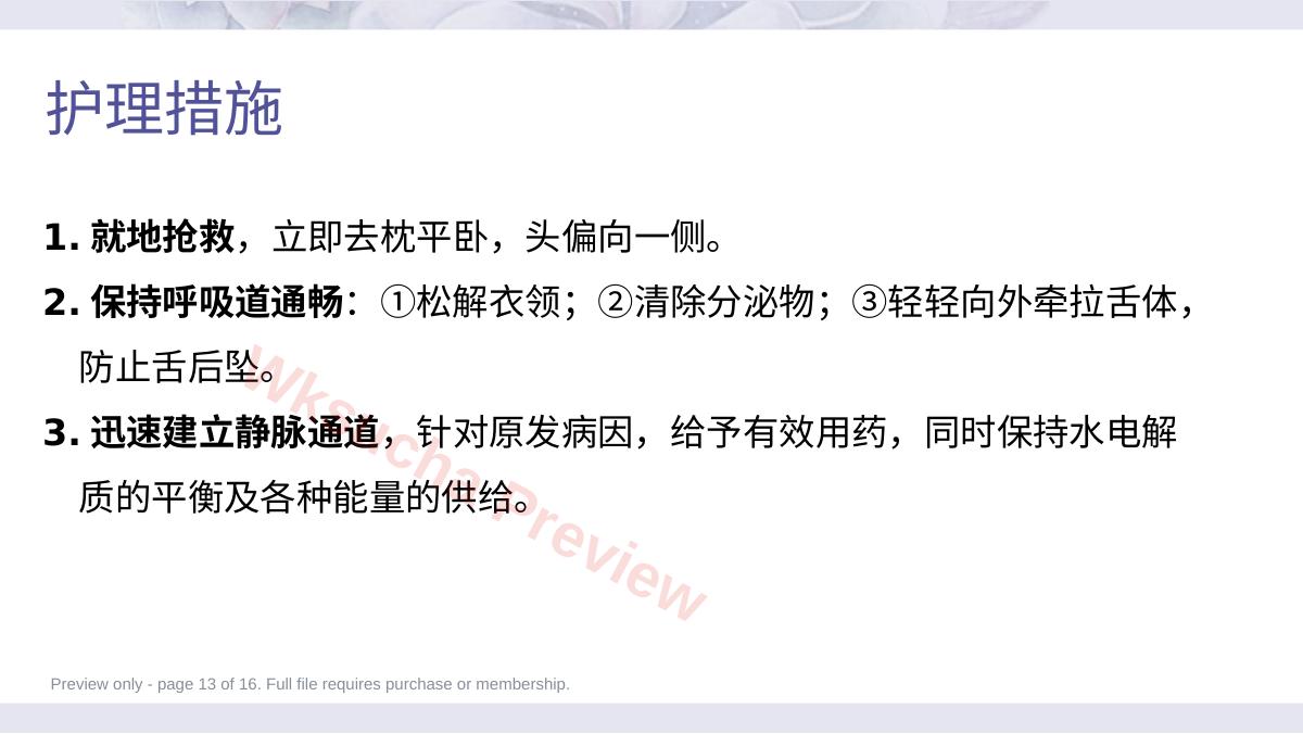 预览第 13 页