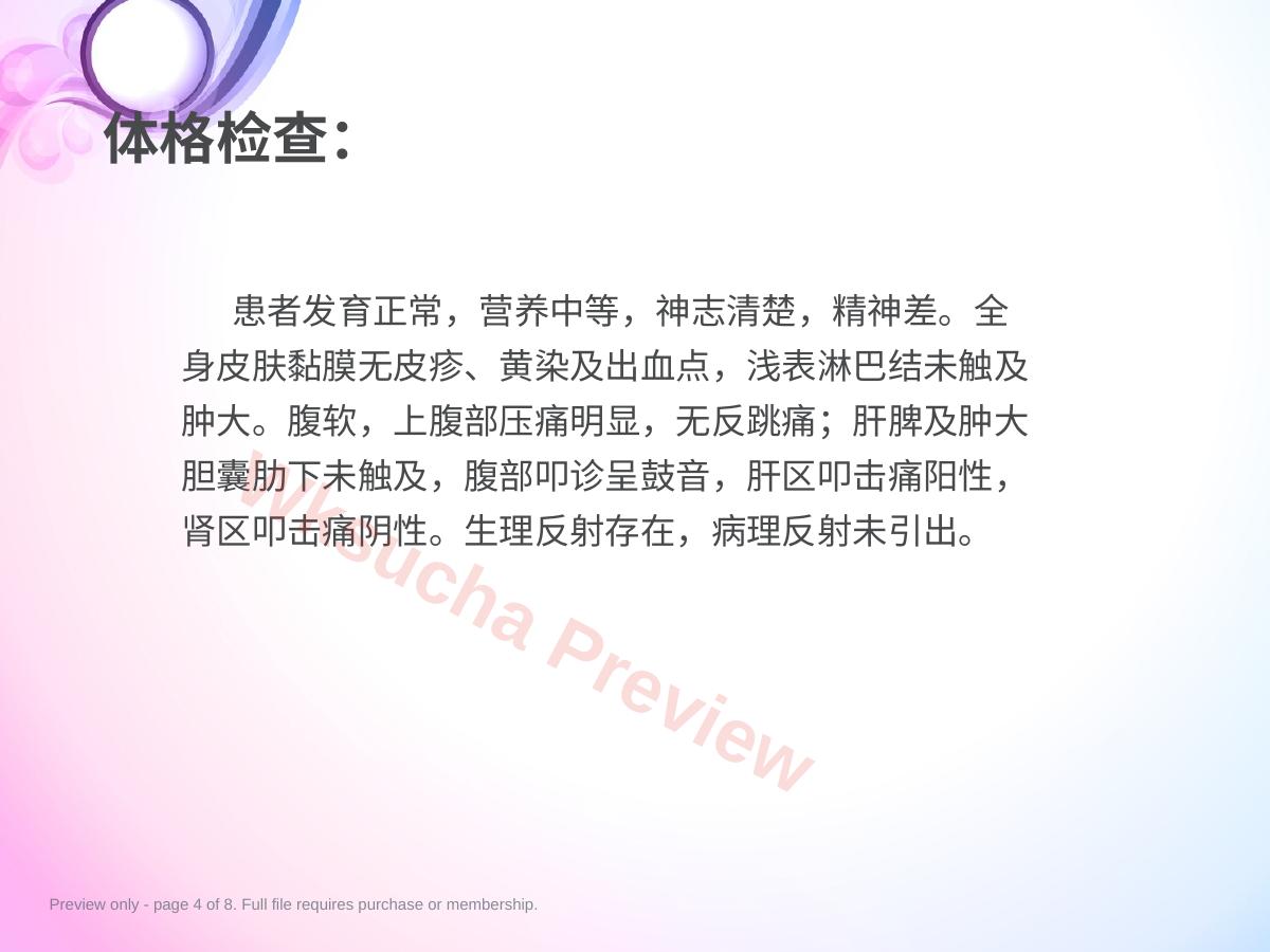 预览第 4 页