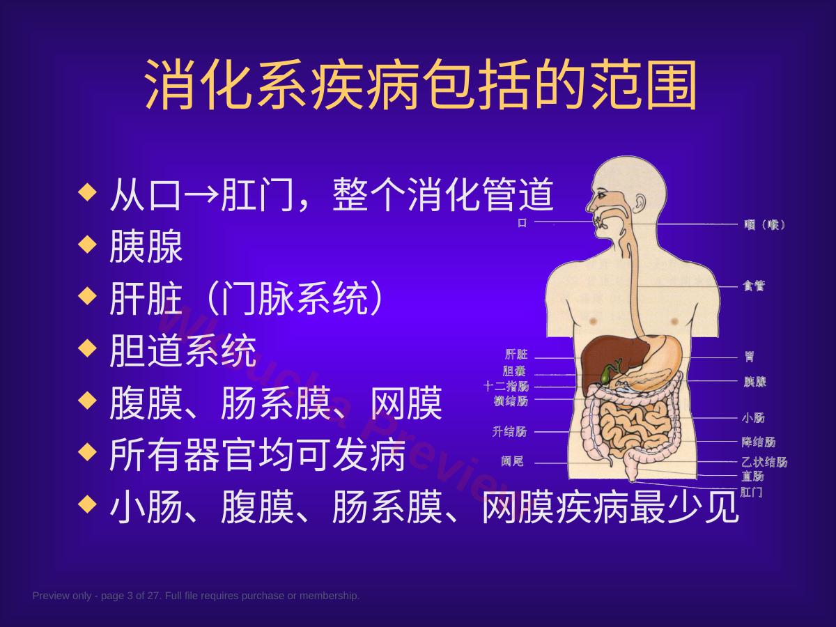 预览第 3 页