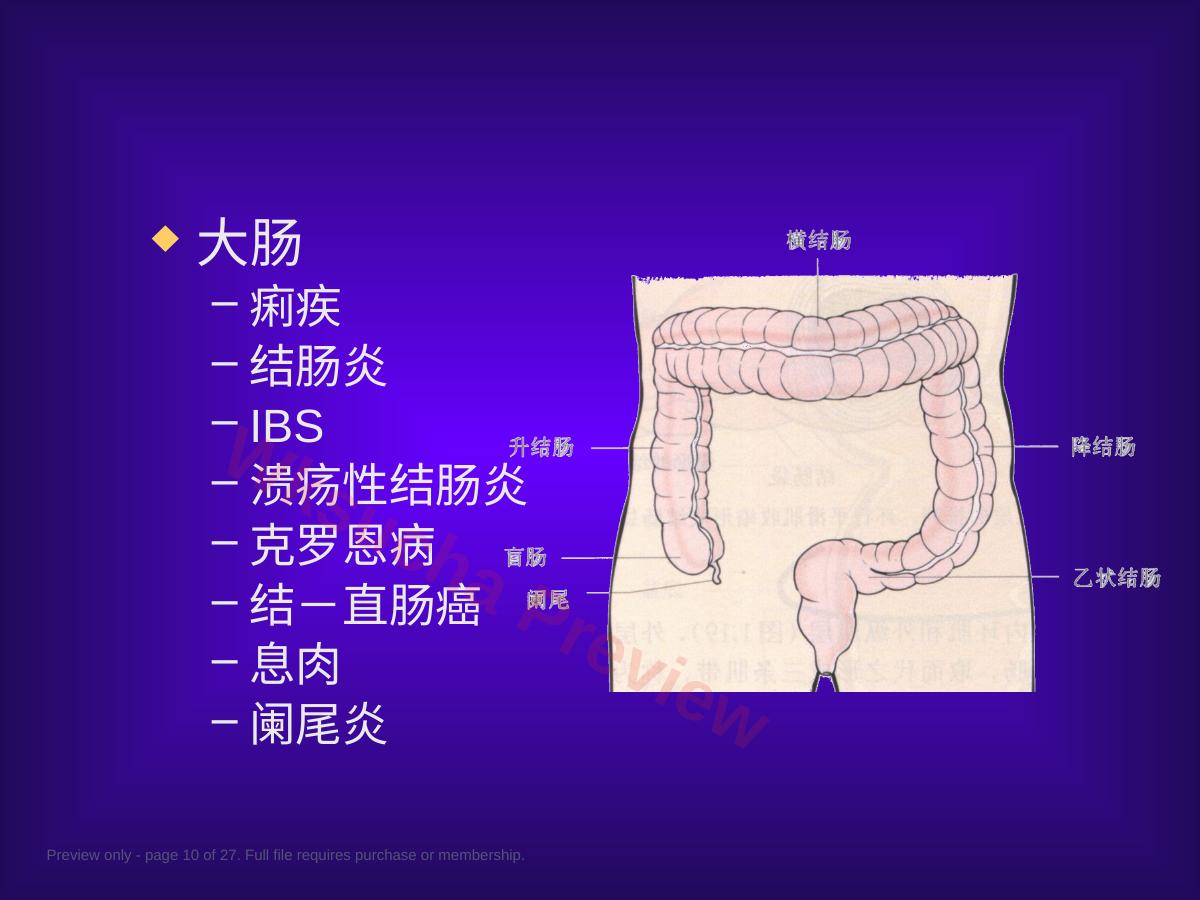 预览第 10 页
