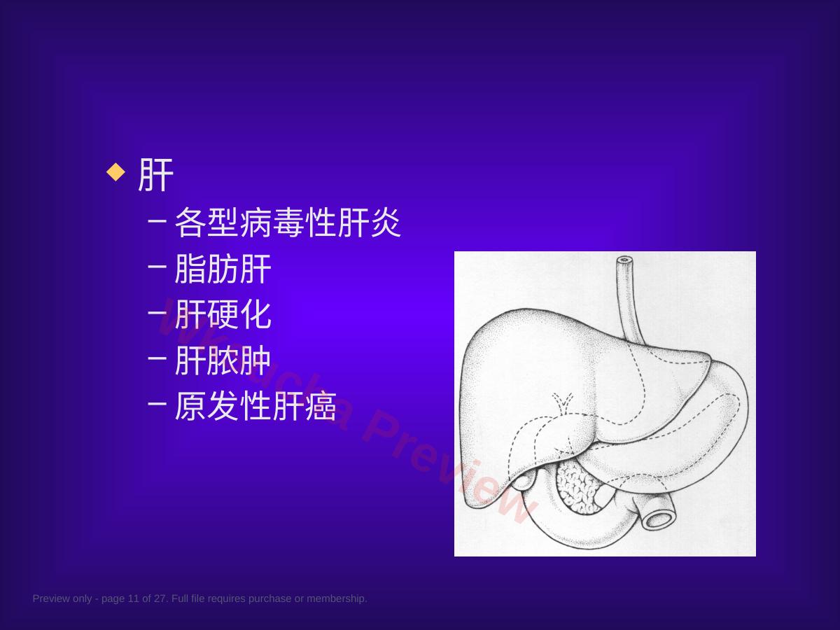 预览第 11 页