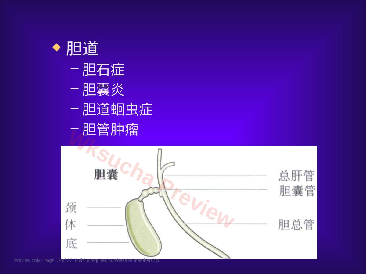 预览第 12 页