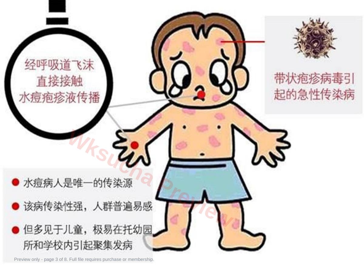 预览第 3 页