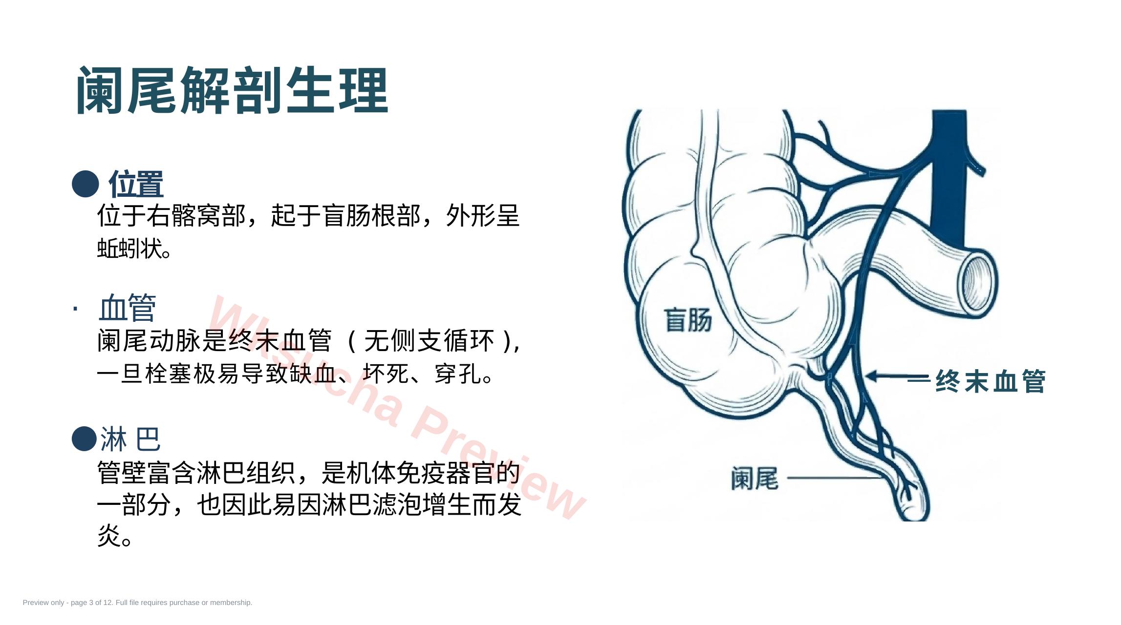 预览第 3 页