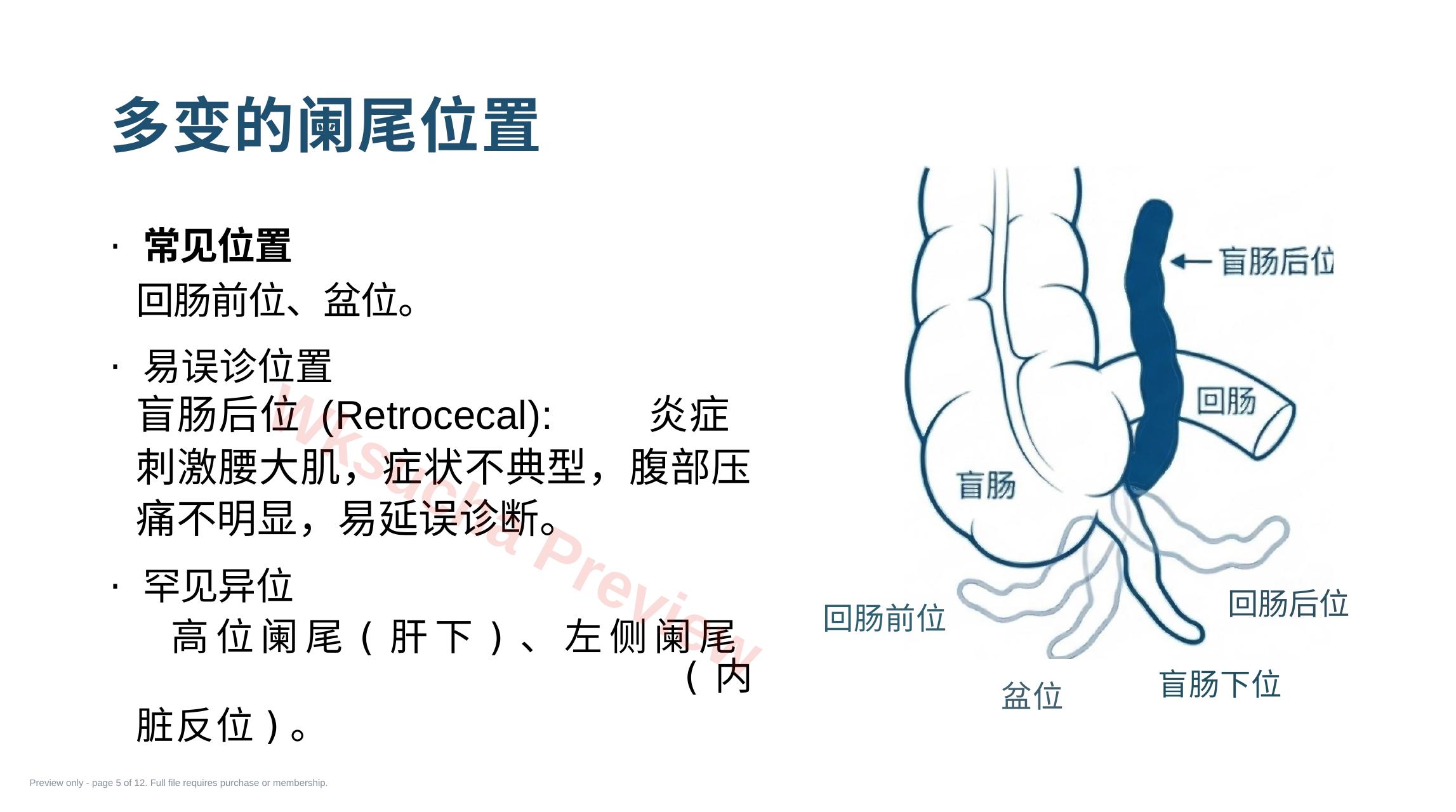 预览第 5 页