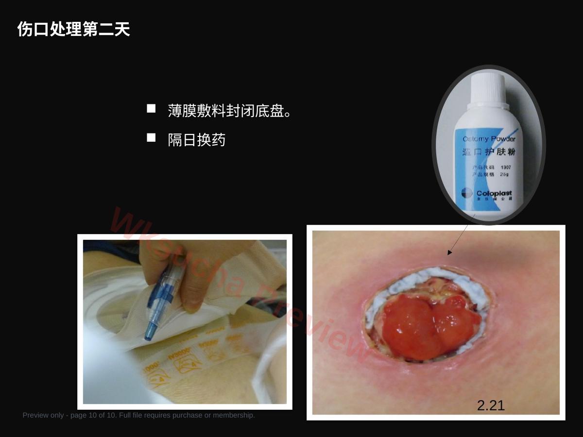 预览第 10 页
