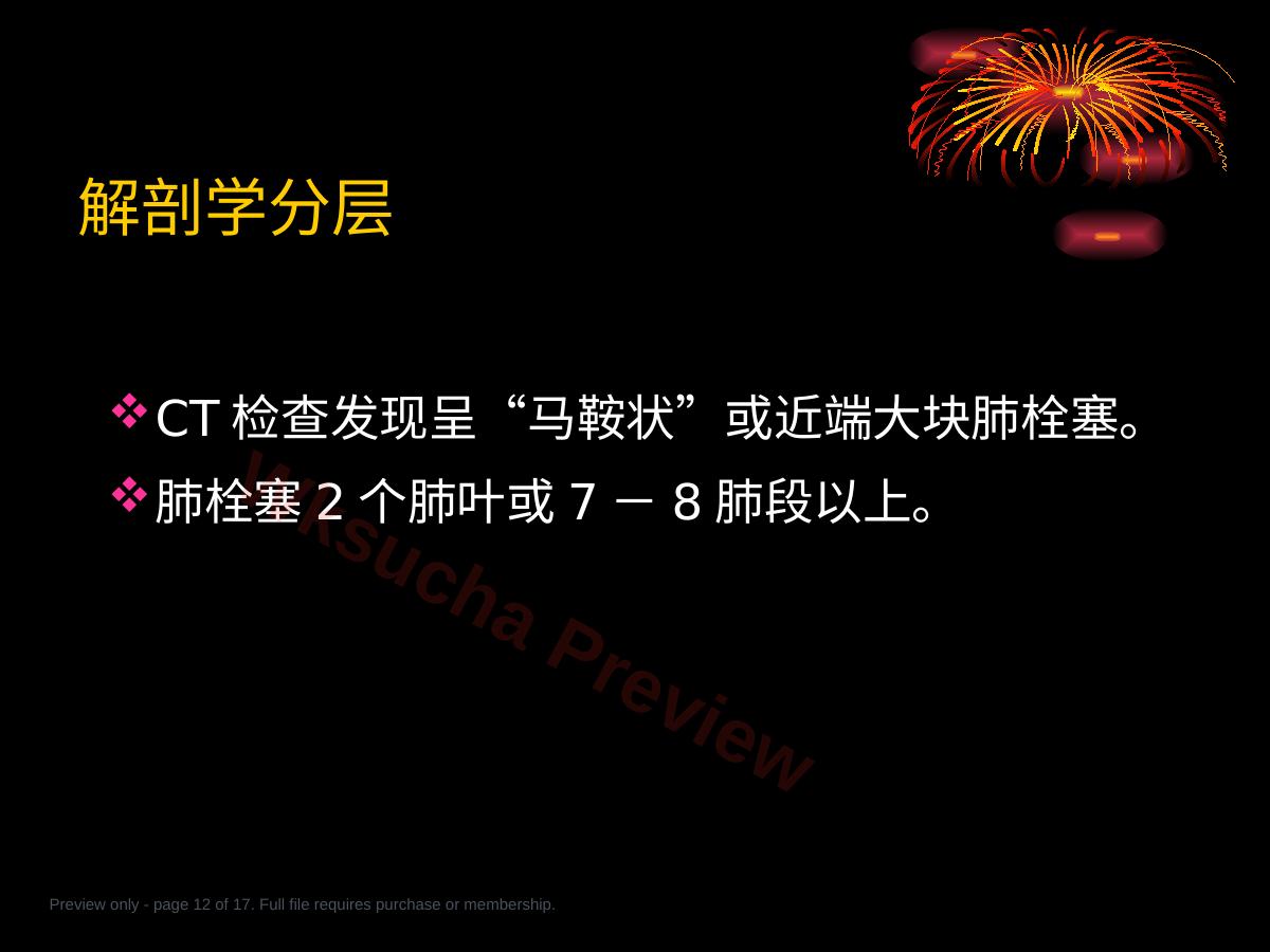 预览第 12 页