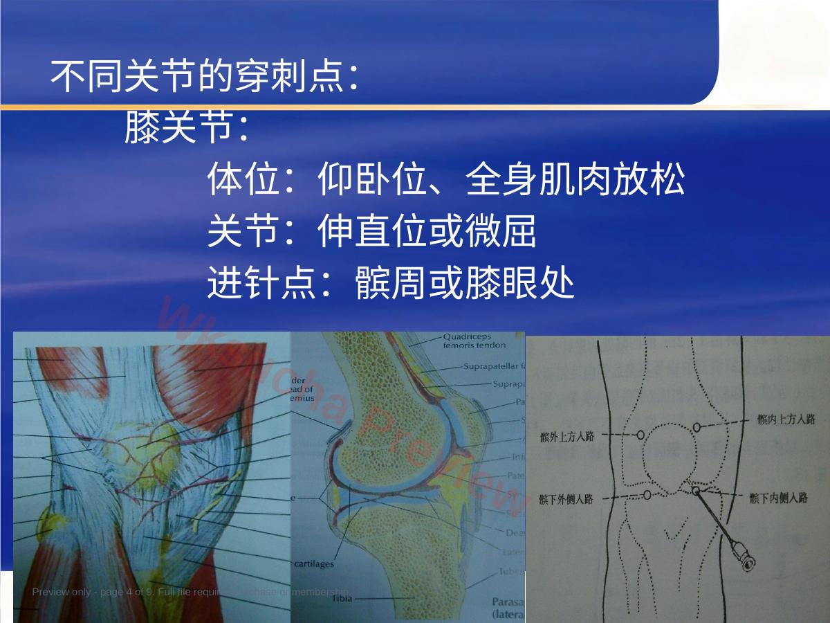 预览第 4 页