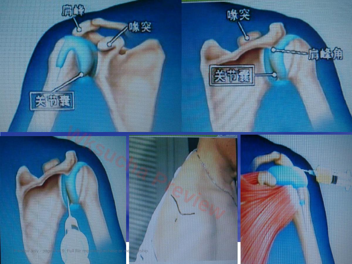 预览第 9 页