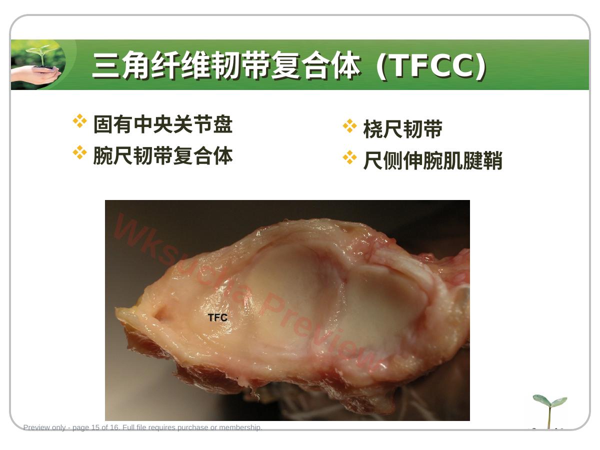预览第 15 页