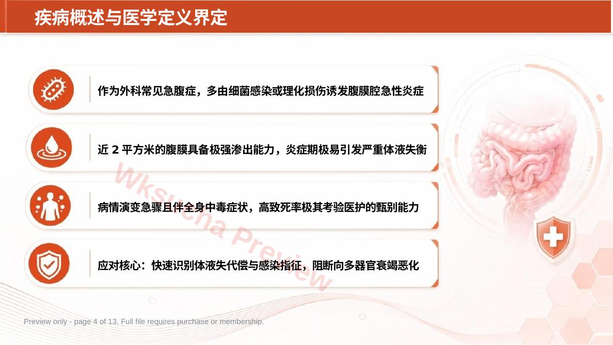 预览第 4 页