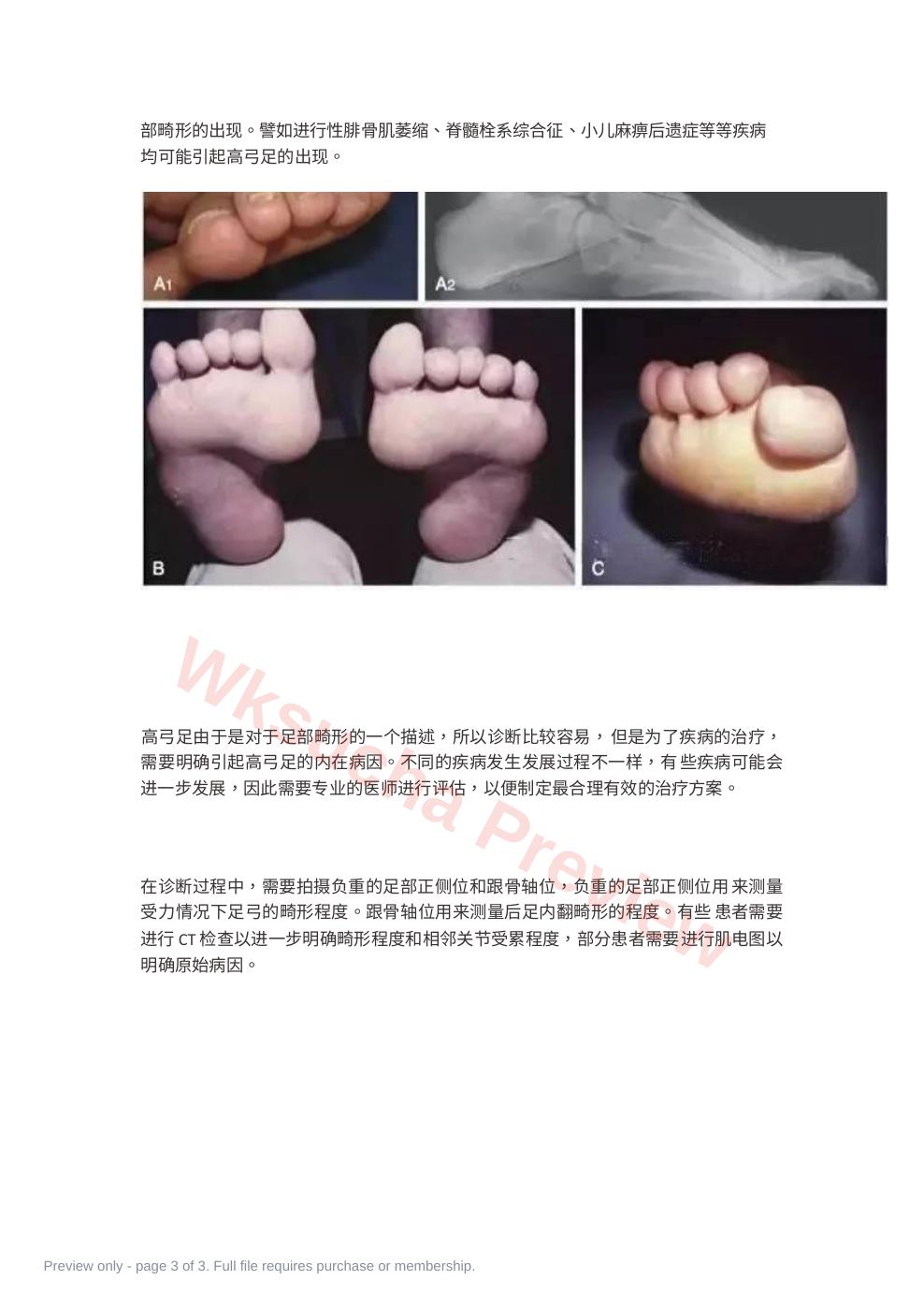 预览第 3 页
