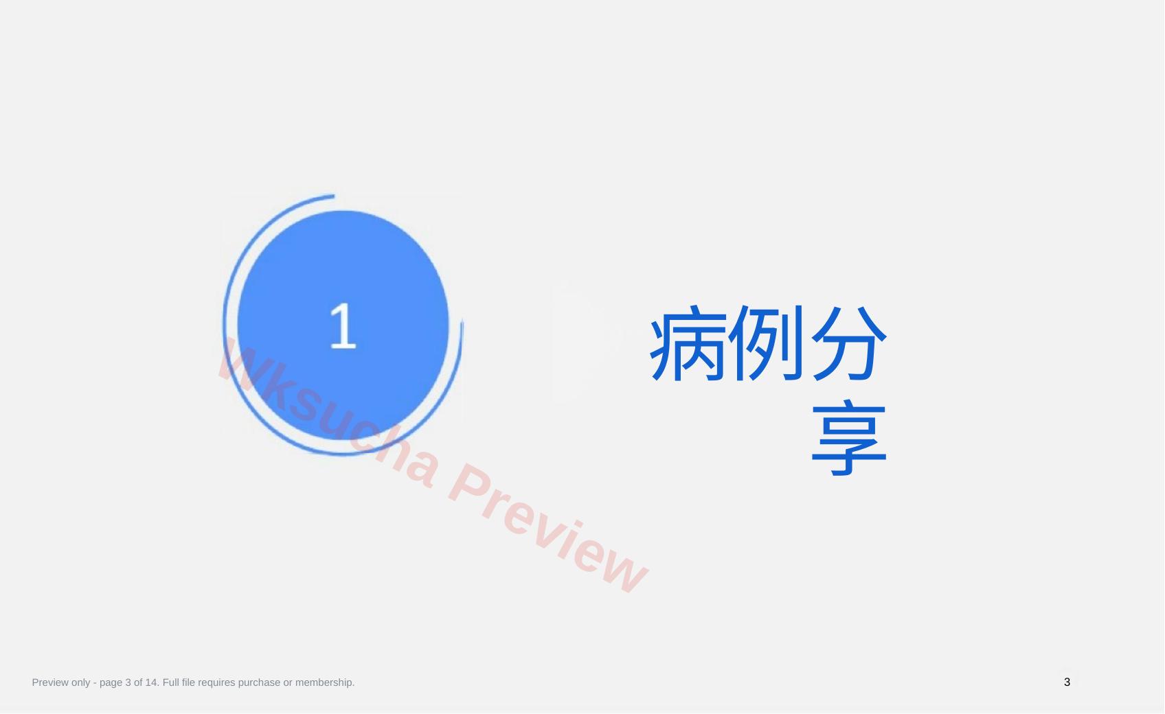 预览第 3 页