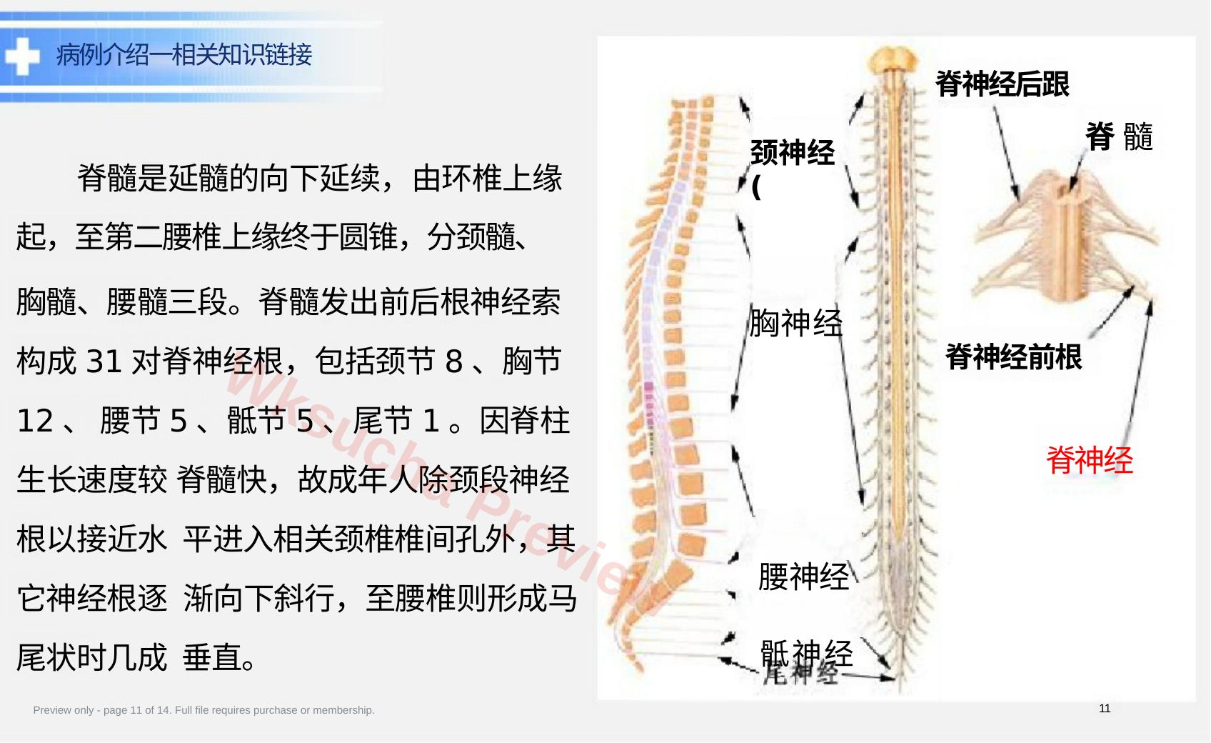 预览第 11 页
