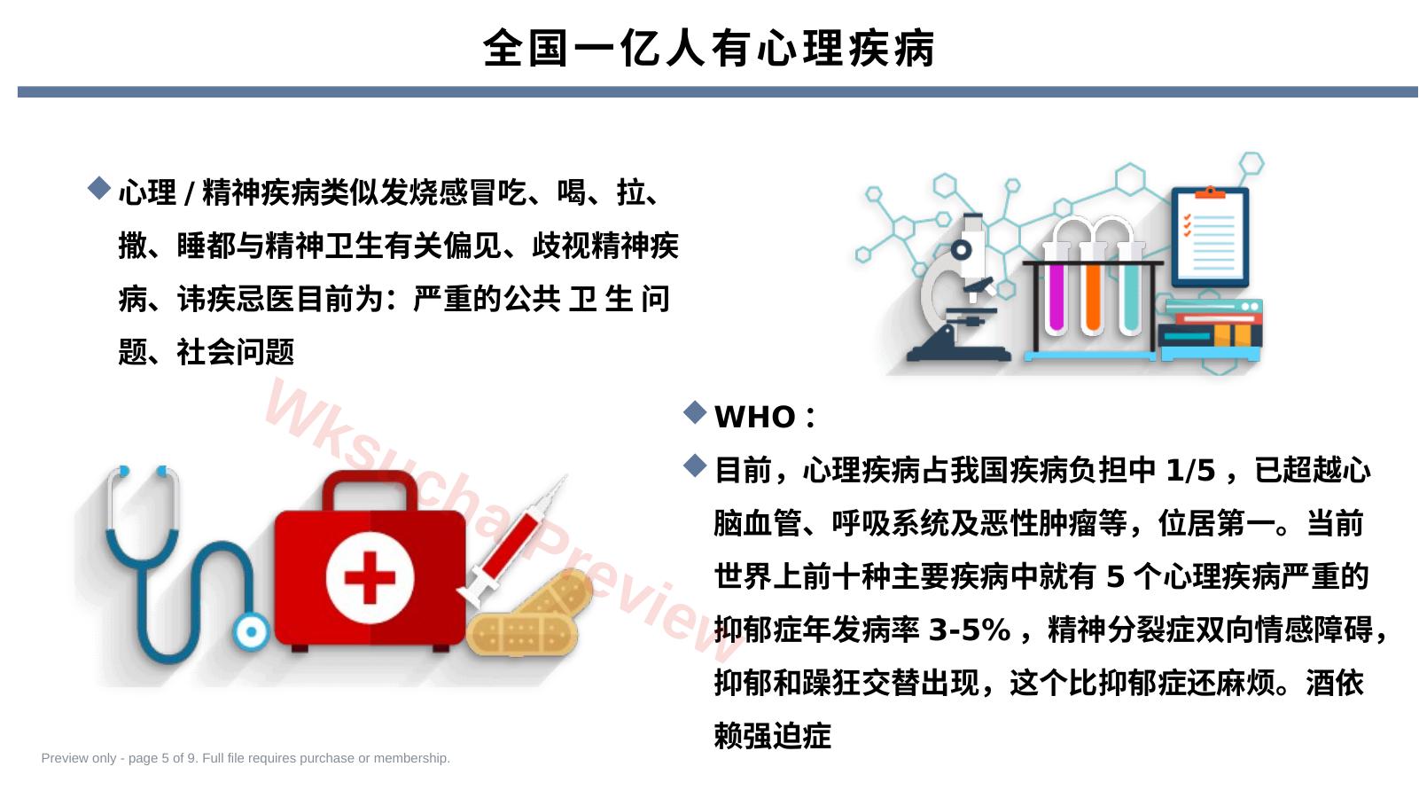 预览第 5 页