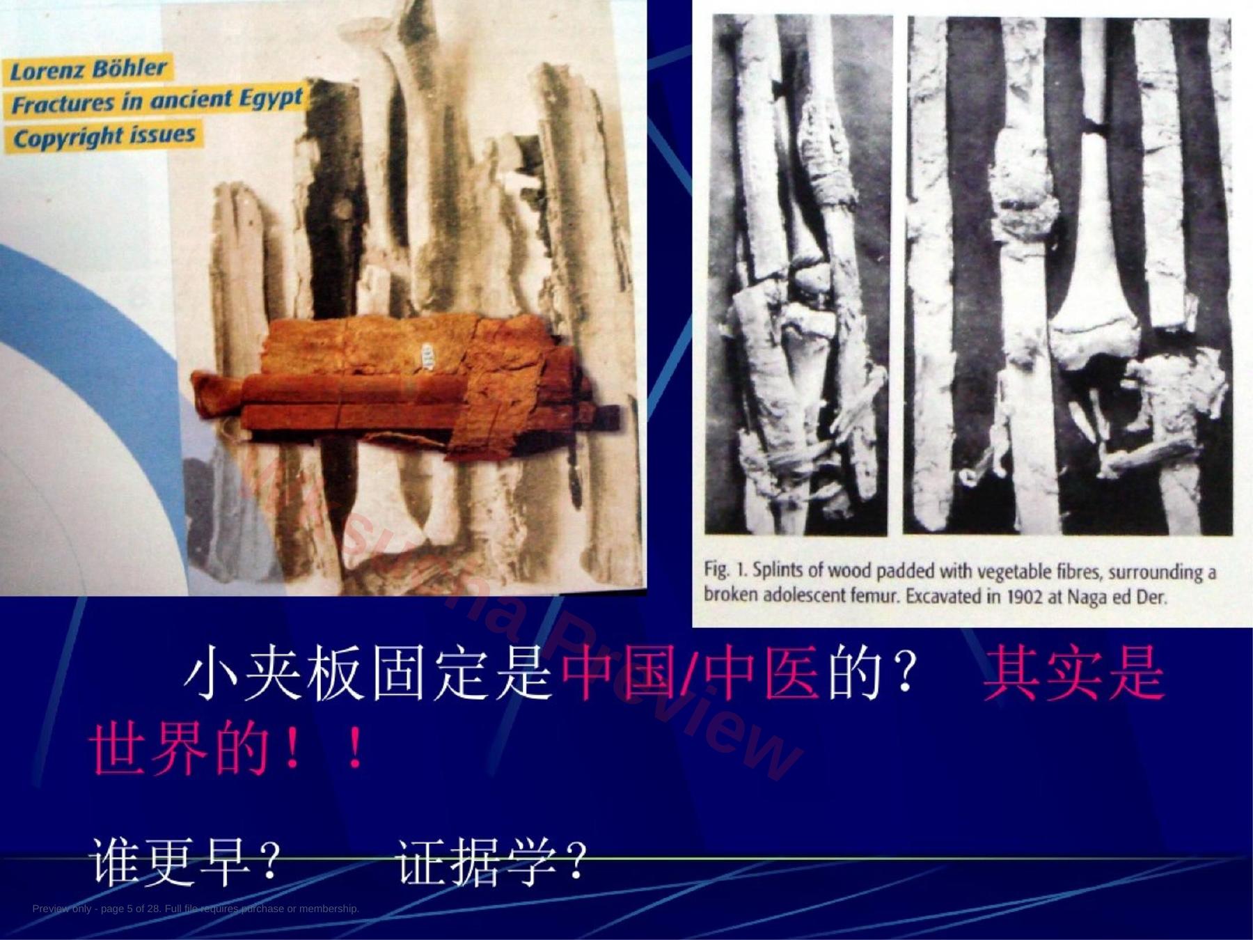 预览第 5 页