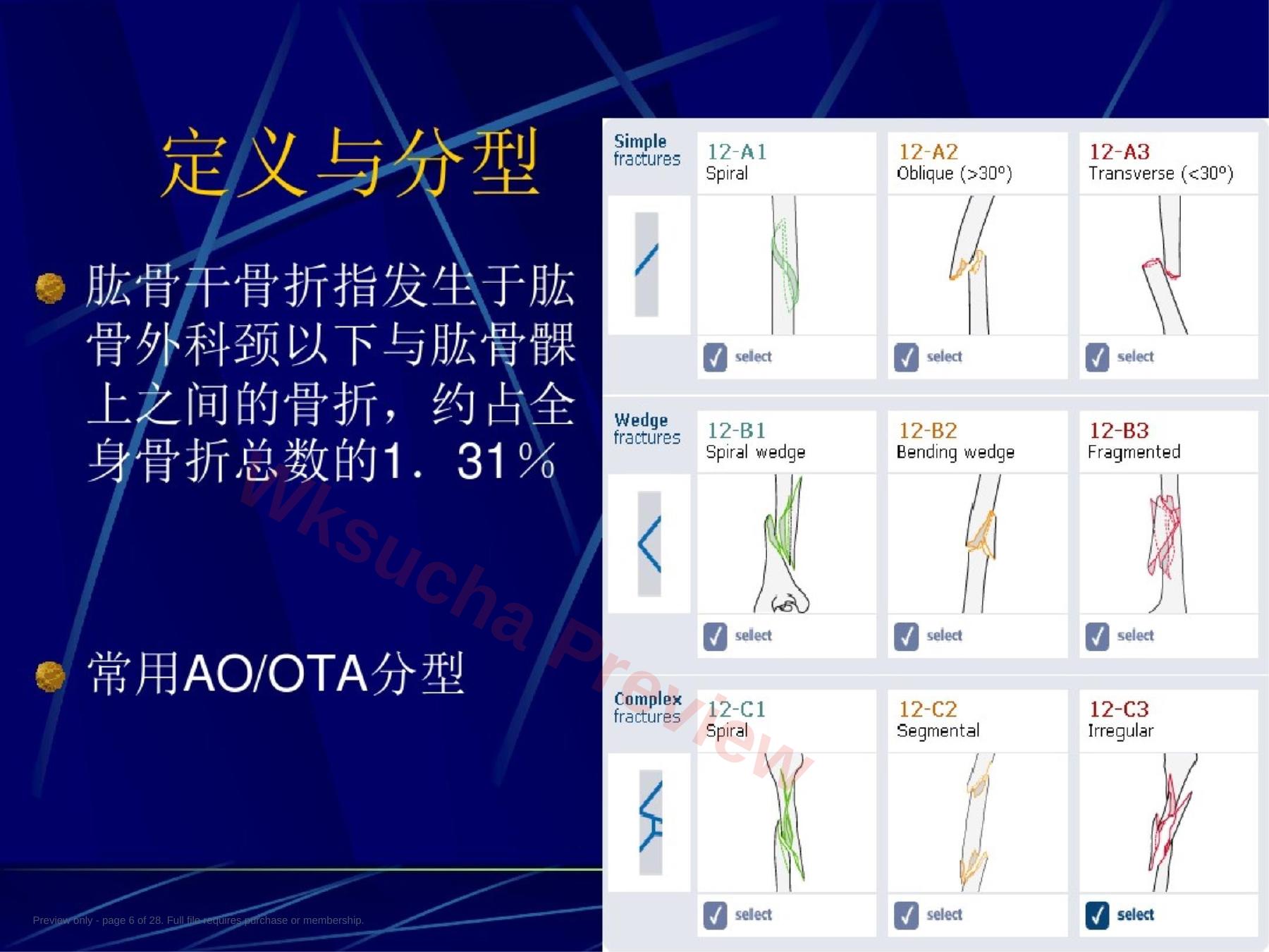 预览第 6 页