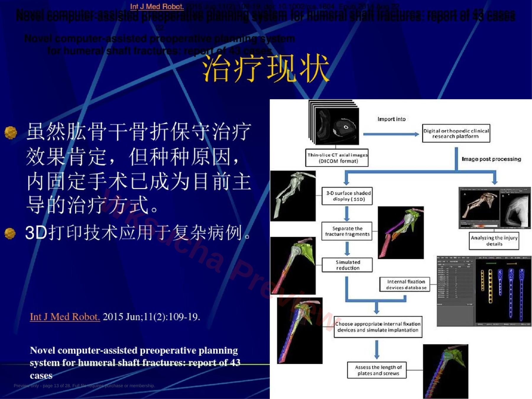预览第 13 页
