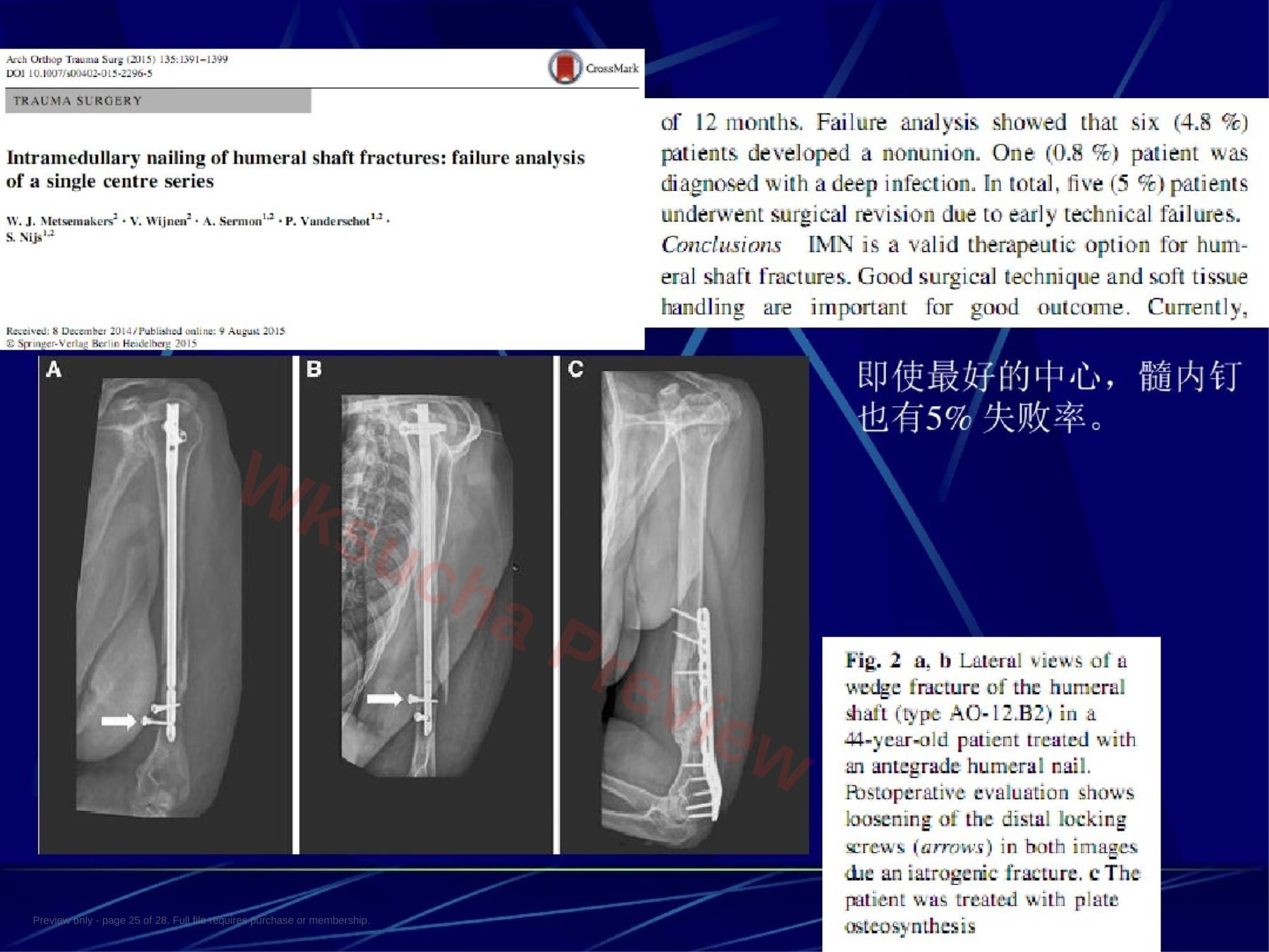 预览第 25 页