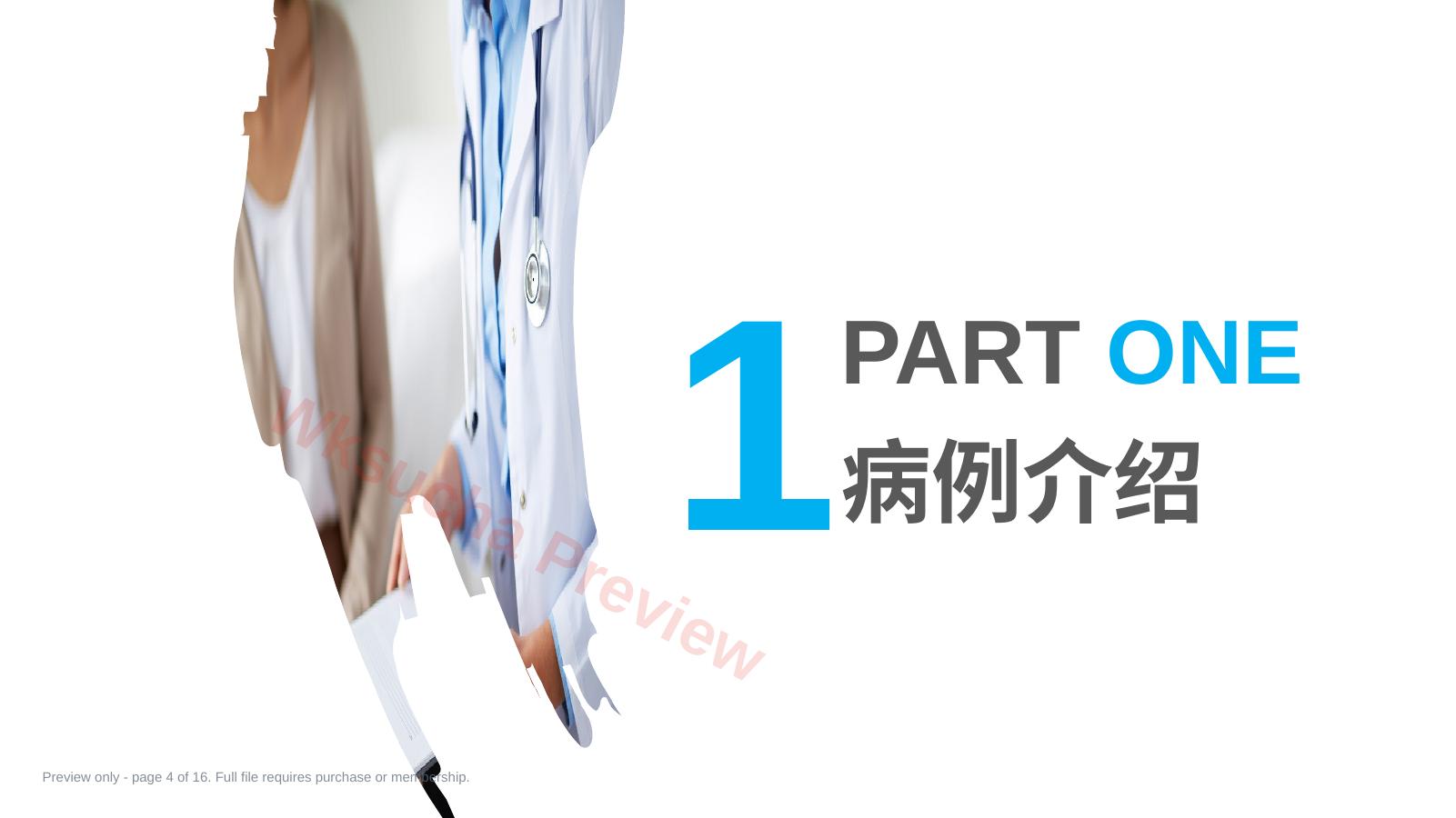 预览第 4 页