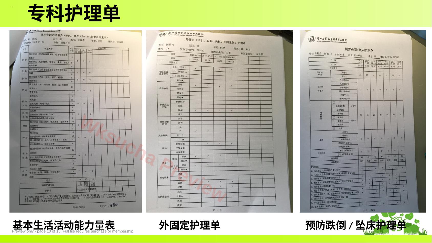 预览第 10 页
