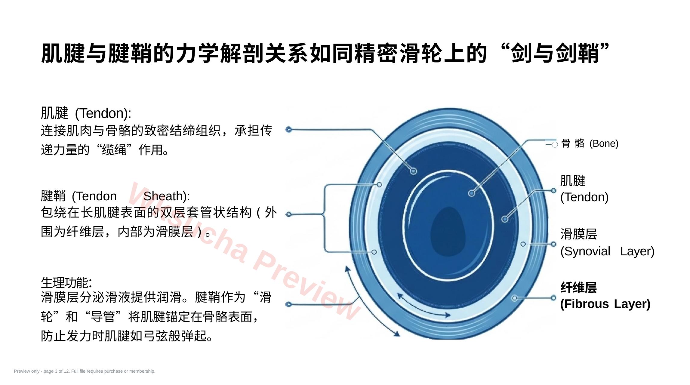 预览第 3 页