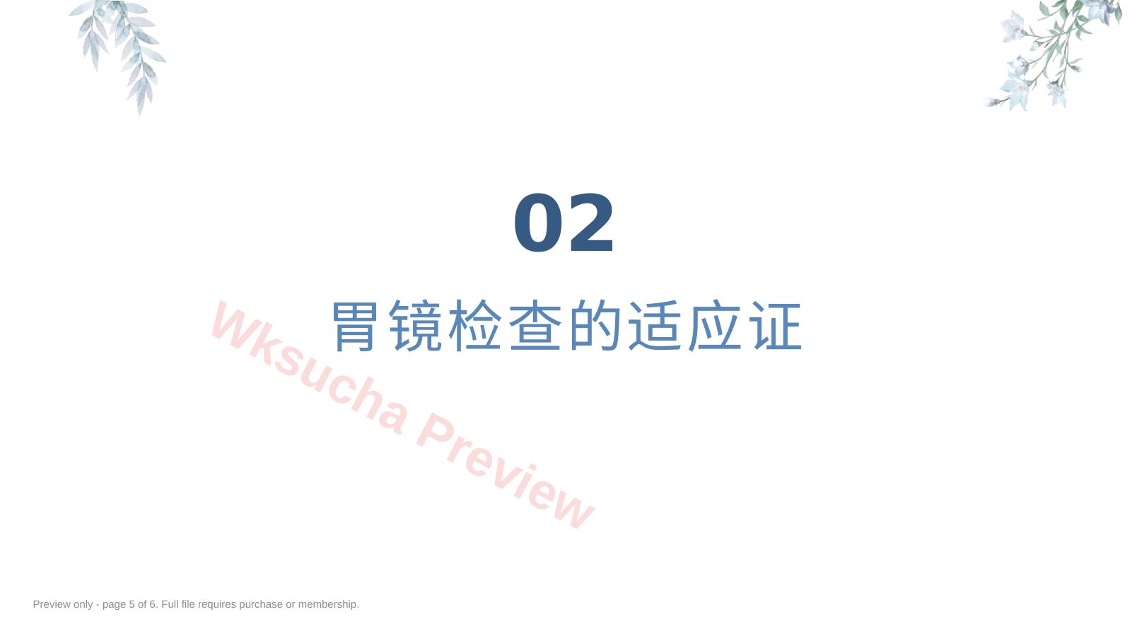 预览第 5 页